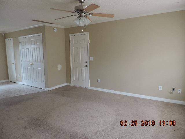 1390 N Hampton Dr, Hampton, GA 30228 photo 6