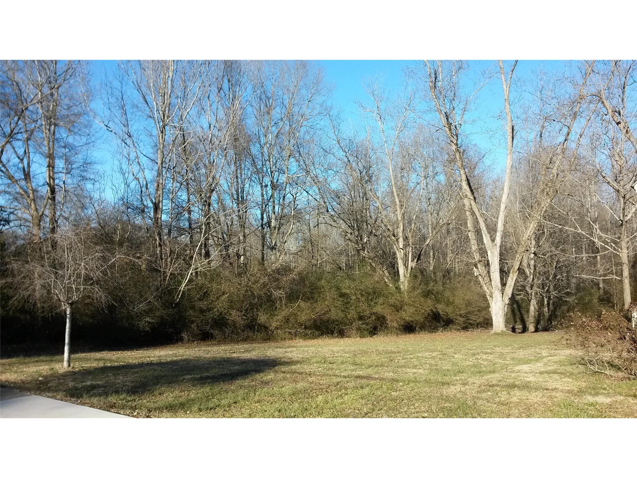 244 Mill St, Bowdon, GA 30108 photo 2