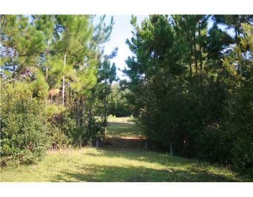 3152 Midland Rd, Guyton, GA 31312 photo 1