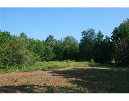 3152 Midland Rd, Guyton, GA 31312 photo 3