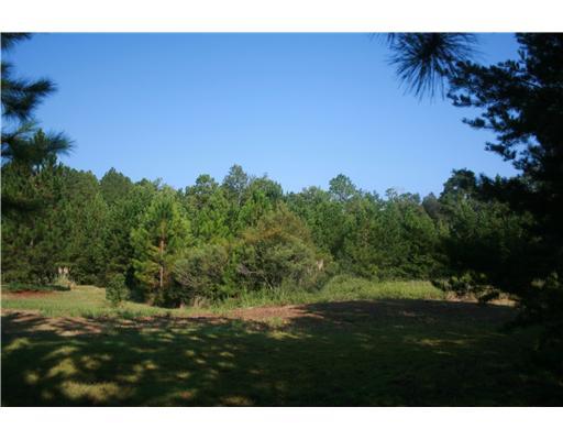 3152 Midland Rd, Guyton, GA 31312 photo 2