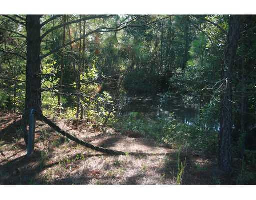 3152 Midland Rd, Guyton, GA 31312 photo 4