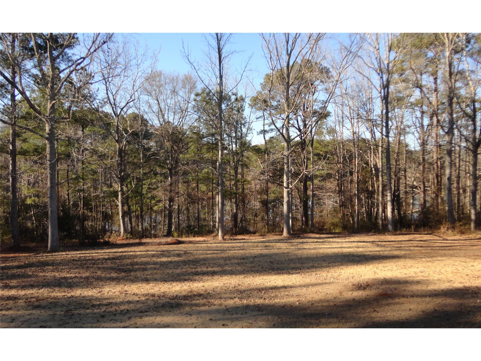 355 Lakeside Rd, Williamson, GA 30292 photo 20