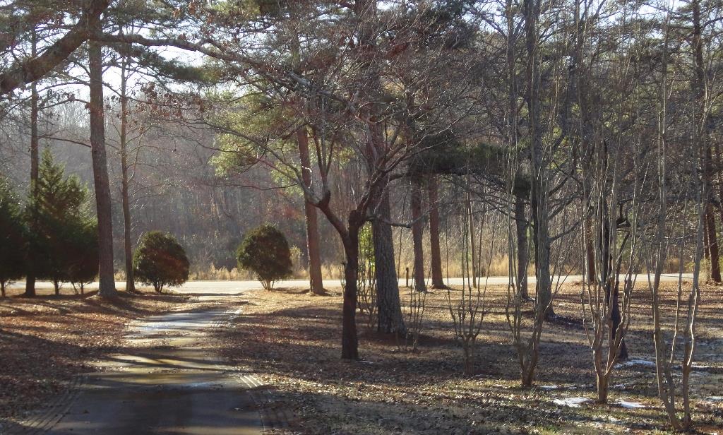 355 Lakeside Rd, Williamson, GA 30292 photo 22