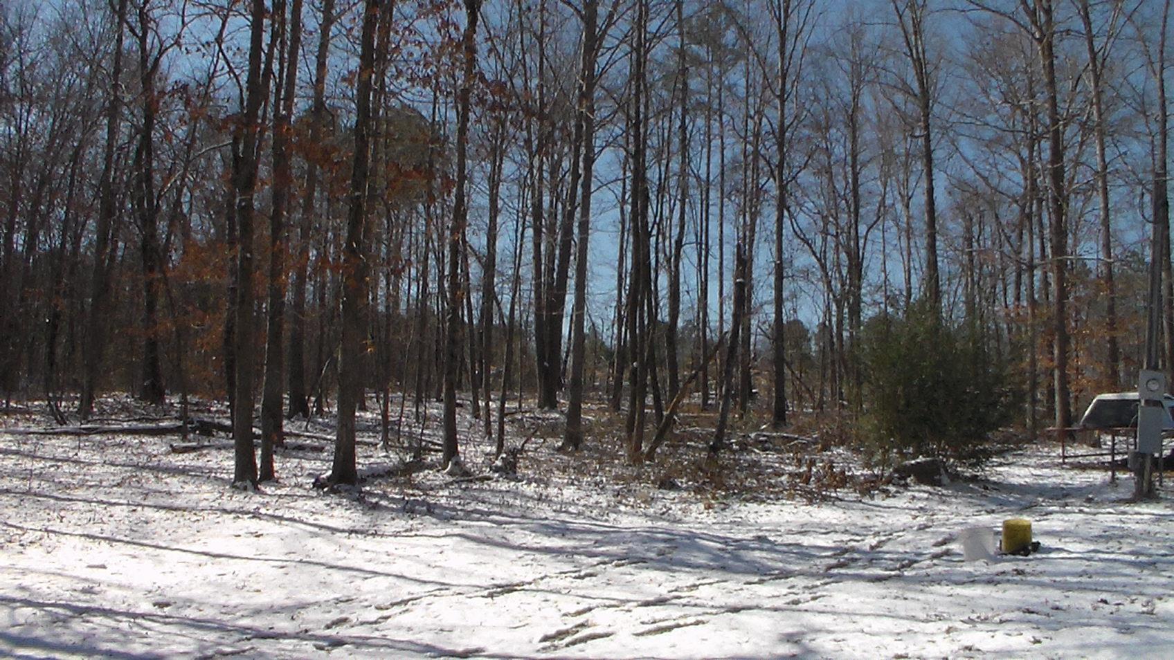 1181 Jack Sharp Rd, Colbert, GA 30628 photo 6