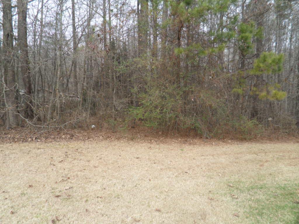 1801 Rivermist Dr, Monroe, GA 30655 photo 24