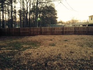 2884 Maple Grove Dr, Rex, GA 30273 photo 9