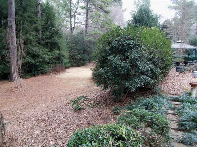 4398 Riverview Dr, Duluth, GA 30097 photo 25