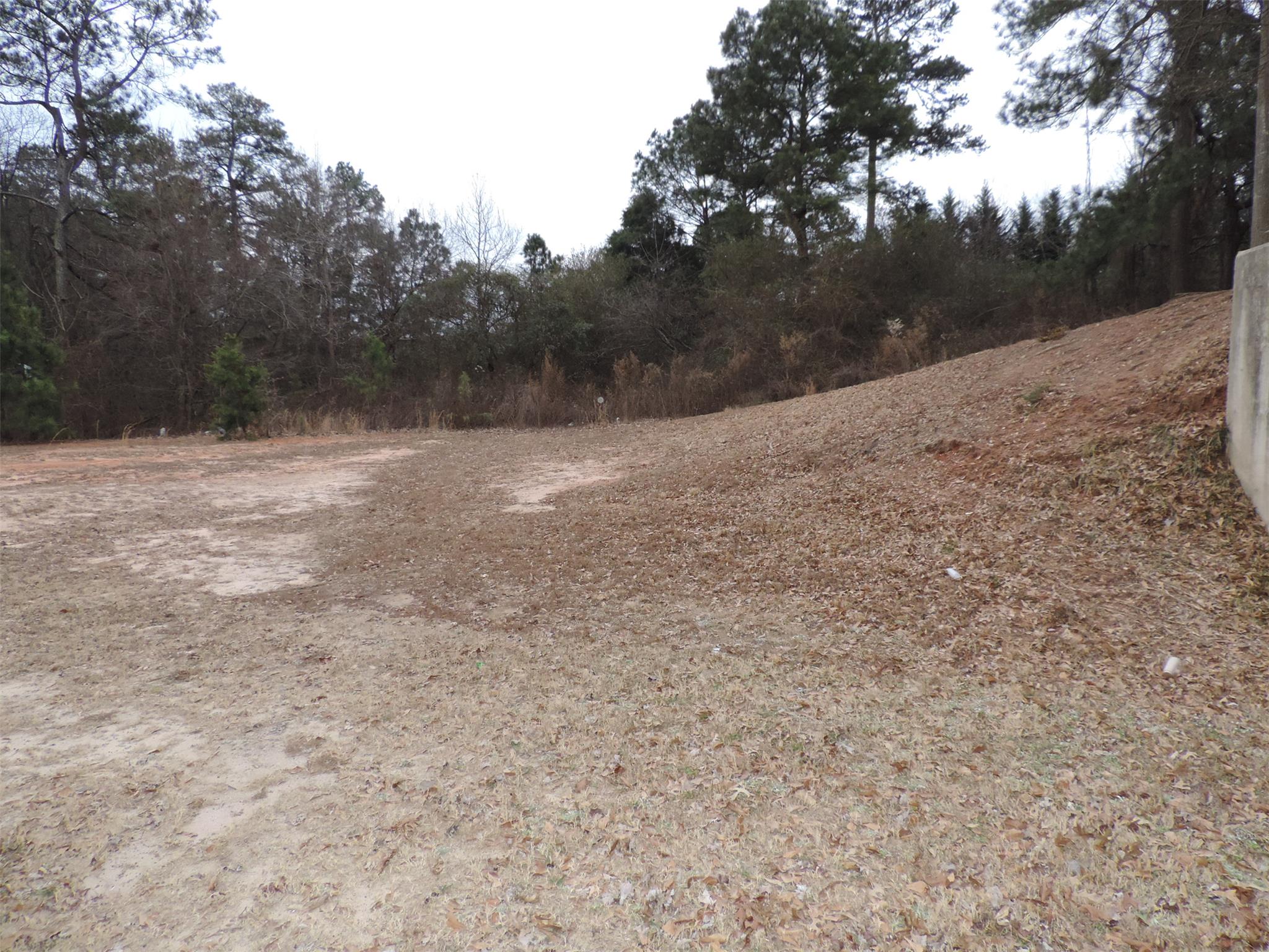 1134 Otis Dr, Bethlehem, GA 30620 photo 25