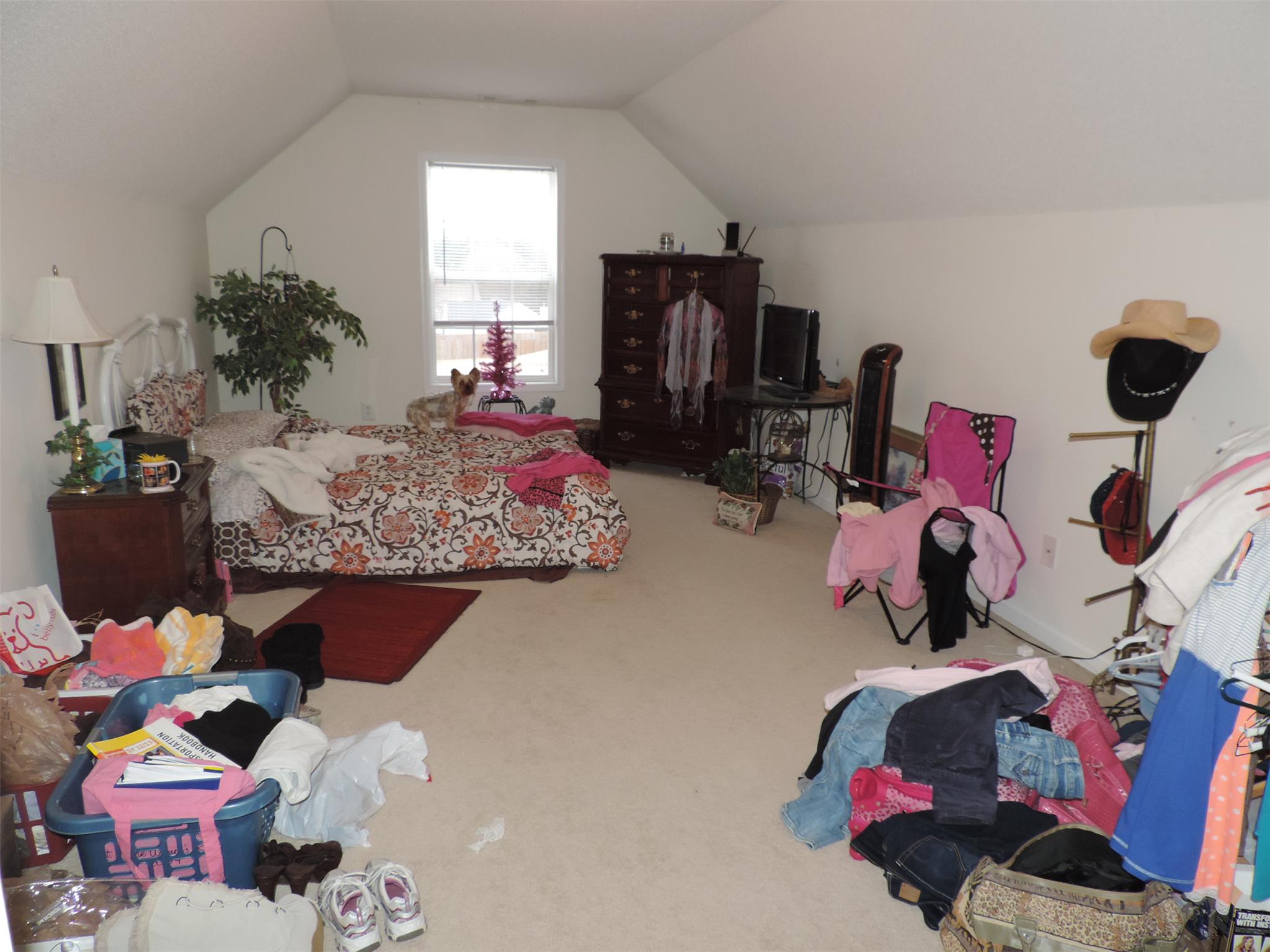 1134 Otis Dr, Bethlehem, GA 30620 photo 23