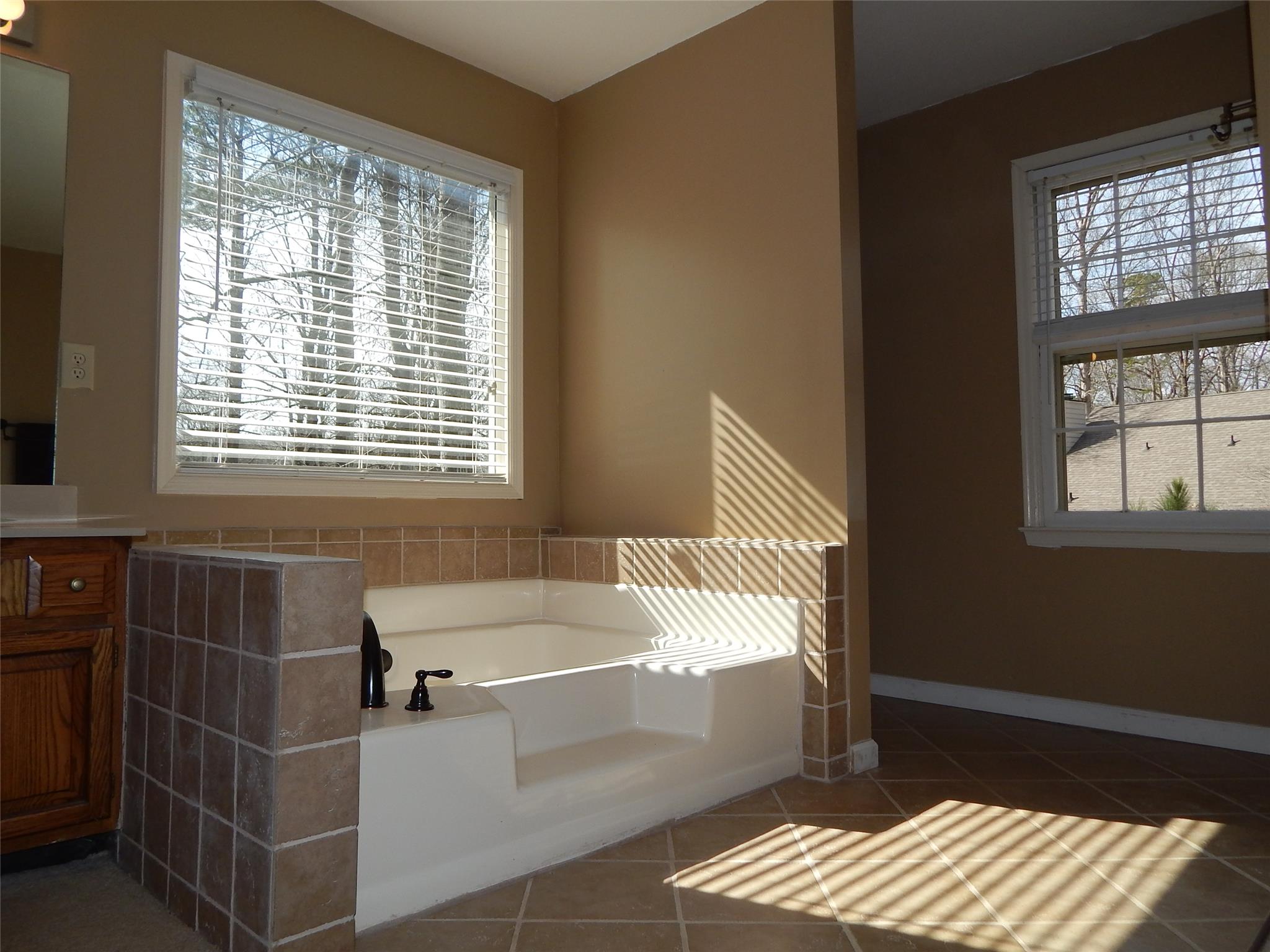 155 Barrow Downs, Alpharetta, GA 30004 photo 13