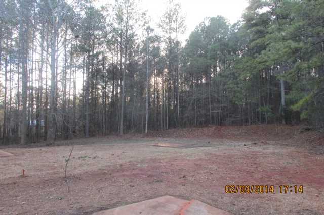 30 Willow Shoals Dr, Covington, GA 30016 photo 23