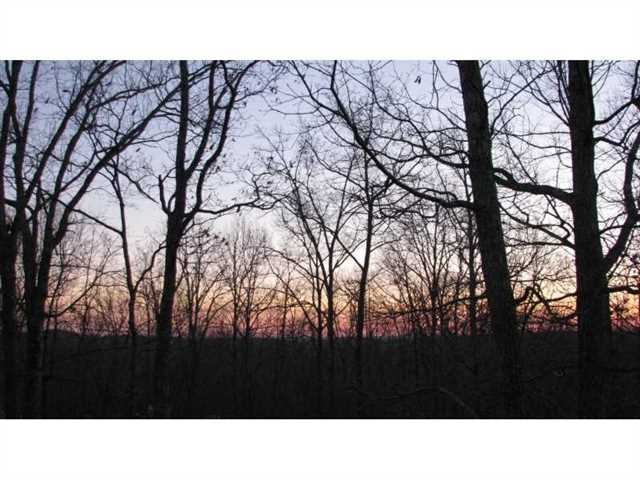 362 Mountain Oak Rd, Jasper, GA 30143 photo 16