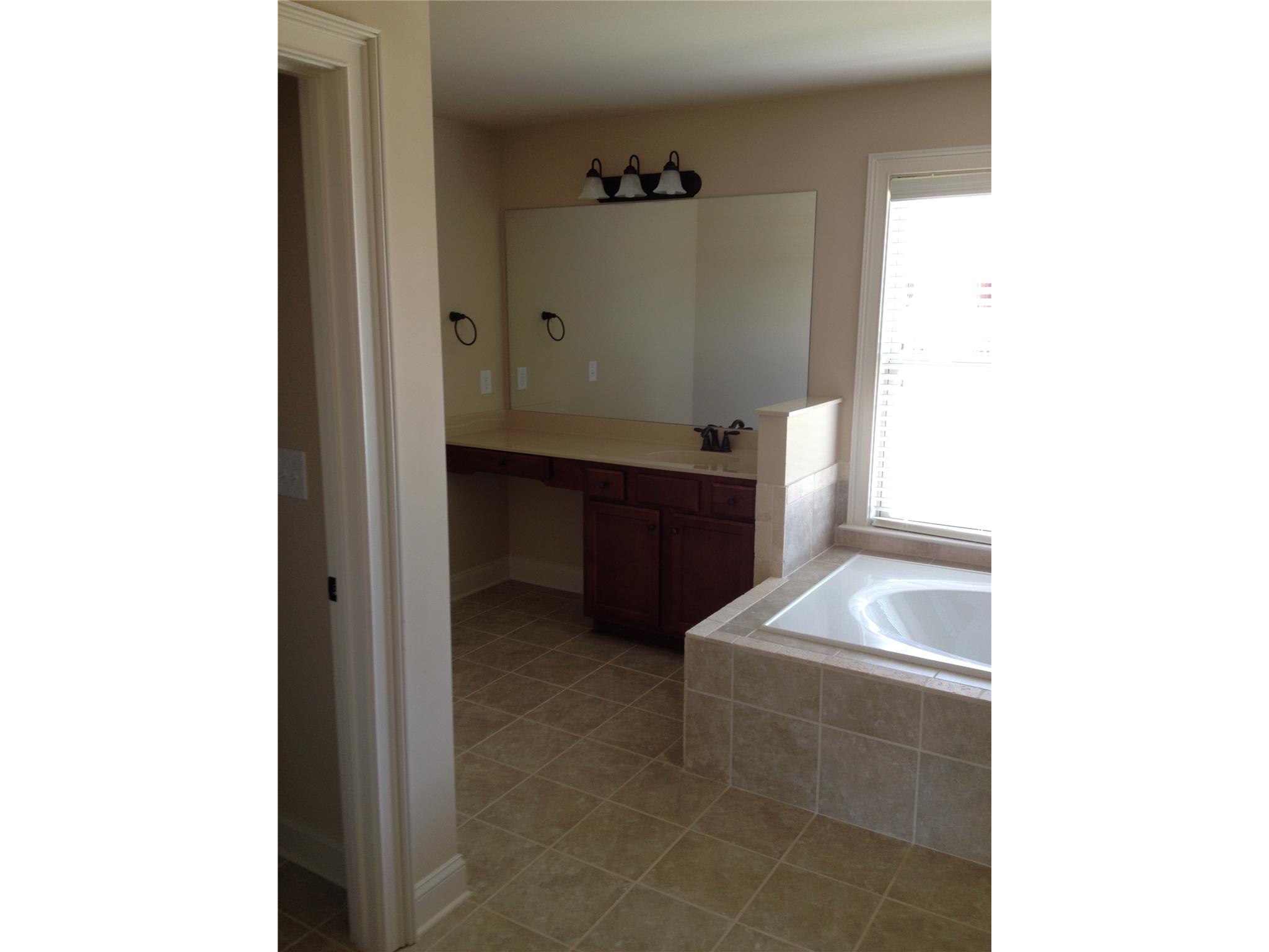 178 Traditions Ln, Hampton, GA 30228 photo 5