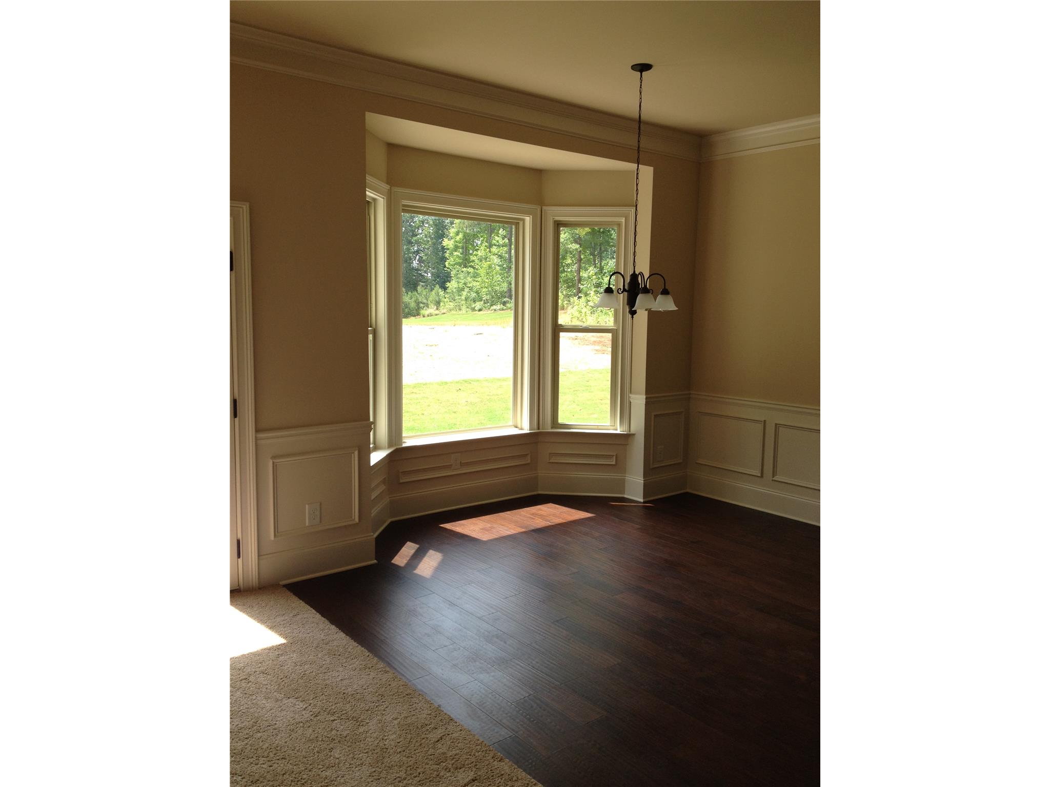 178 Traditions Ln, Hampton, GA 30228 photo 18
