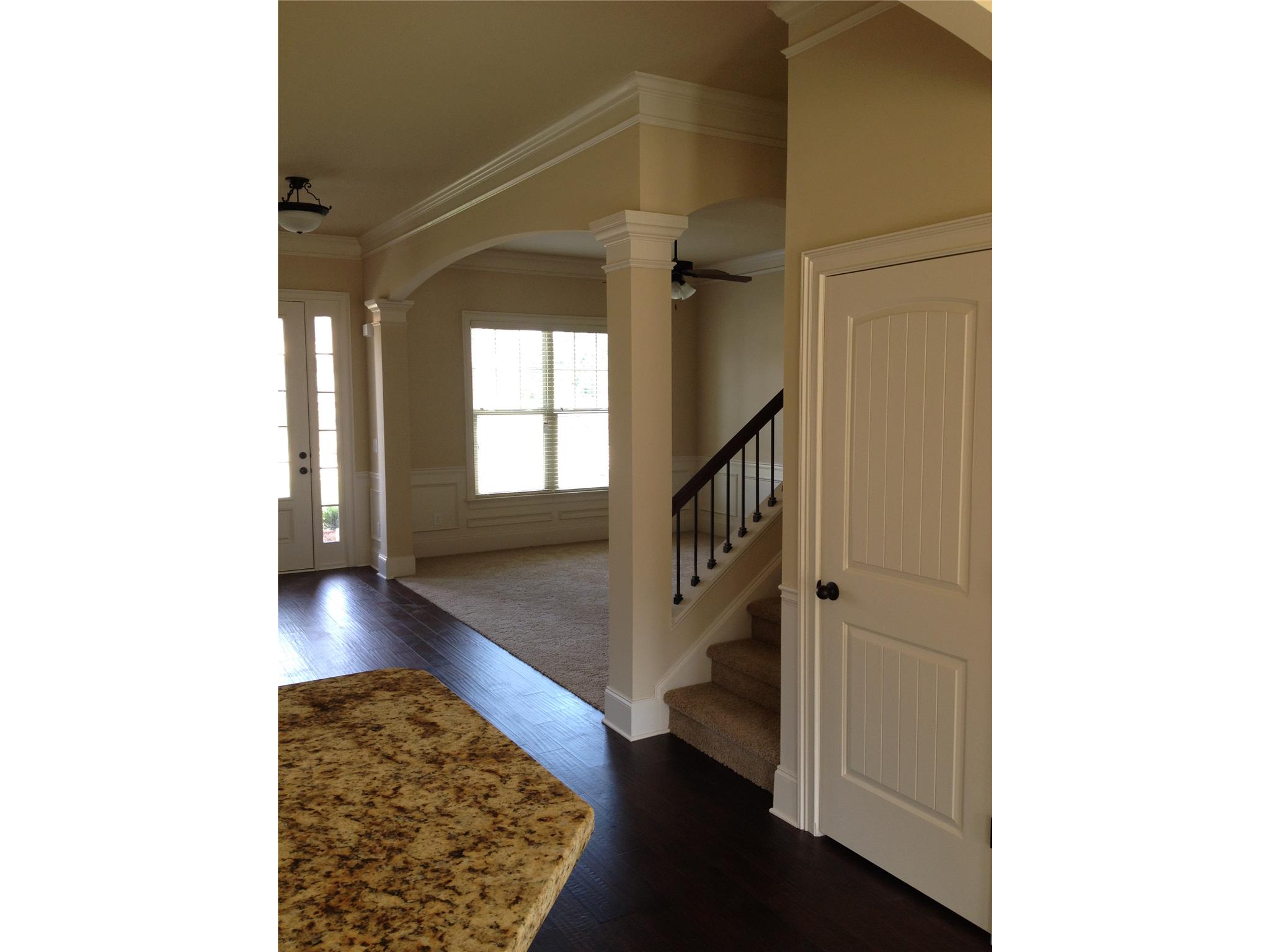 178 Traditions Ln, Hampton, GA 30228 photo 23