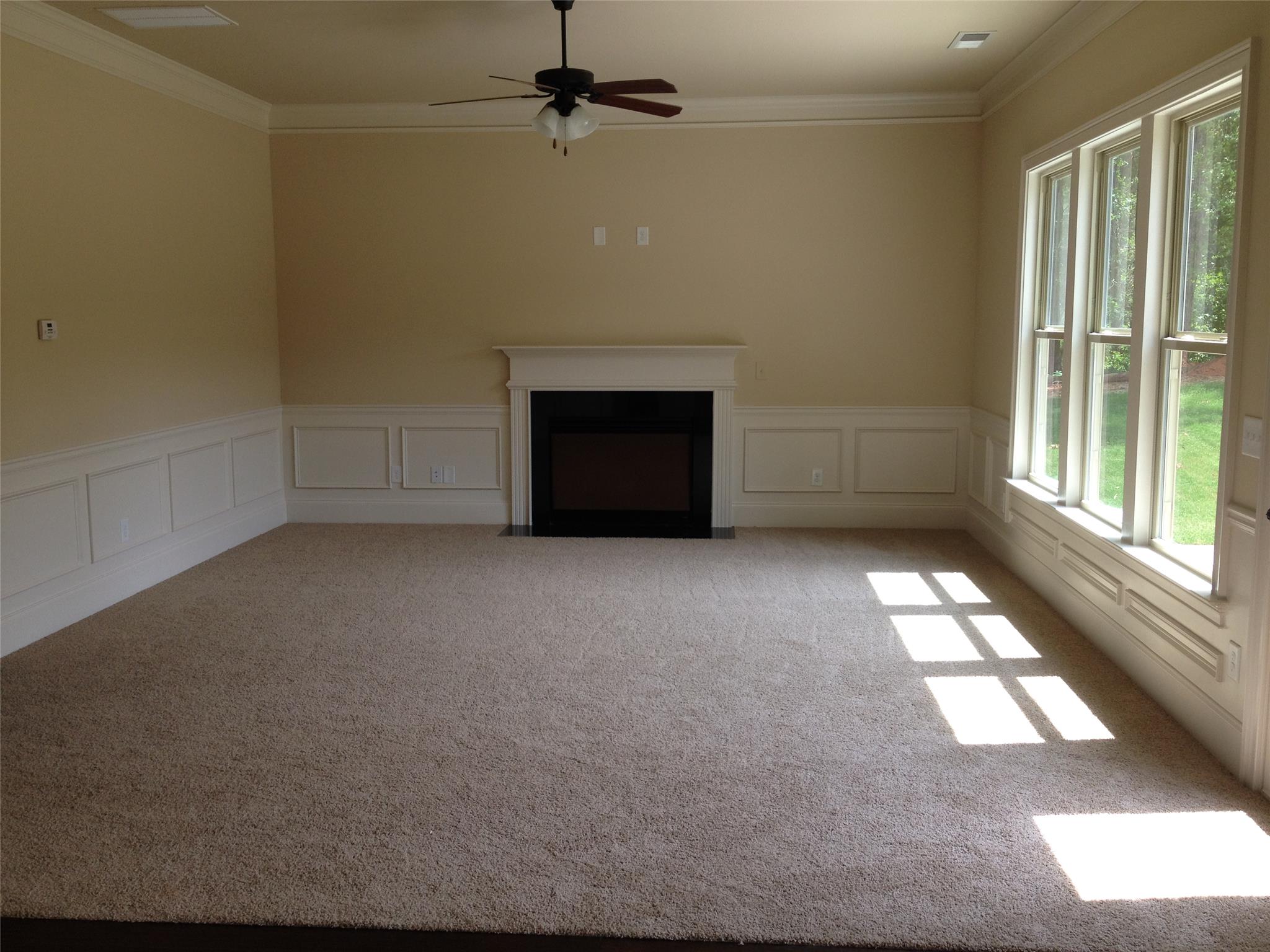 178 Traditions Ln, Hampton, GA 30228 photo 17