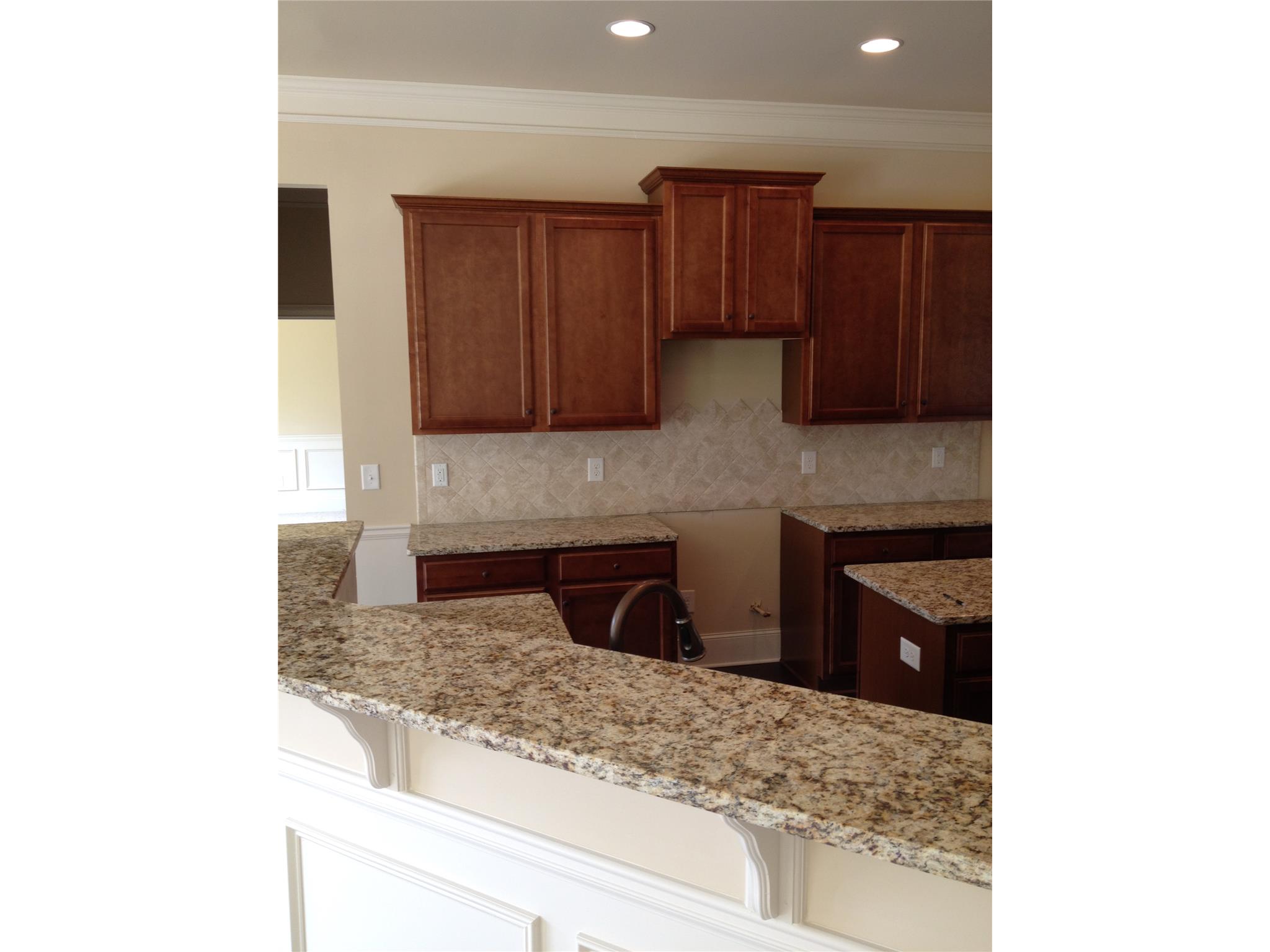 178 Traditions Ln, Hampton, GA 30228 photo 19