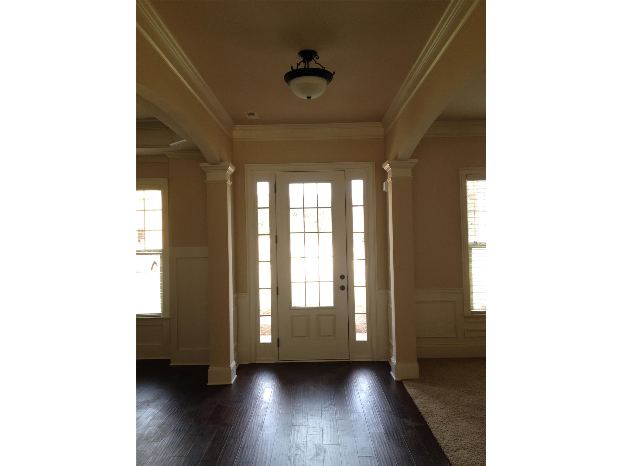 178 Traditions Ln, Hampton, GA 30228 photo 14