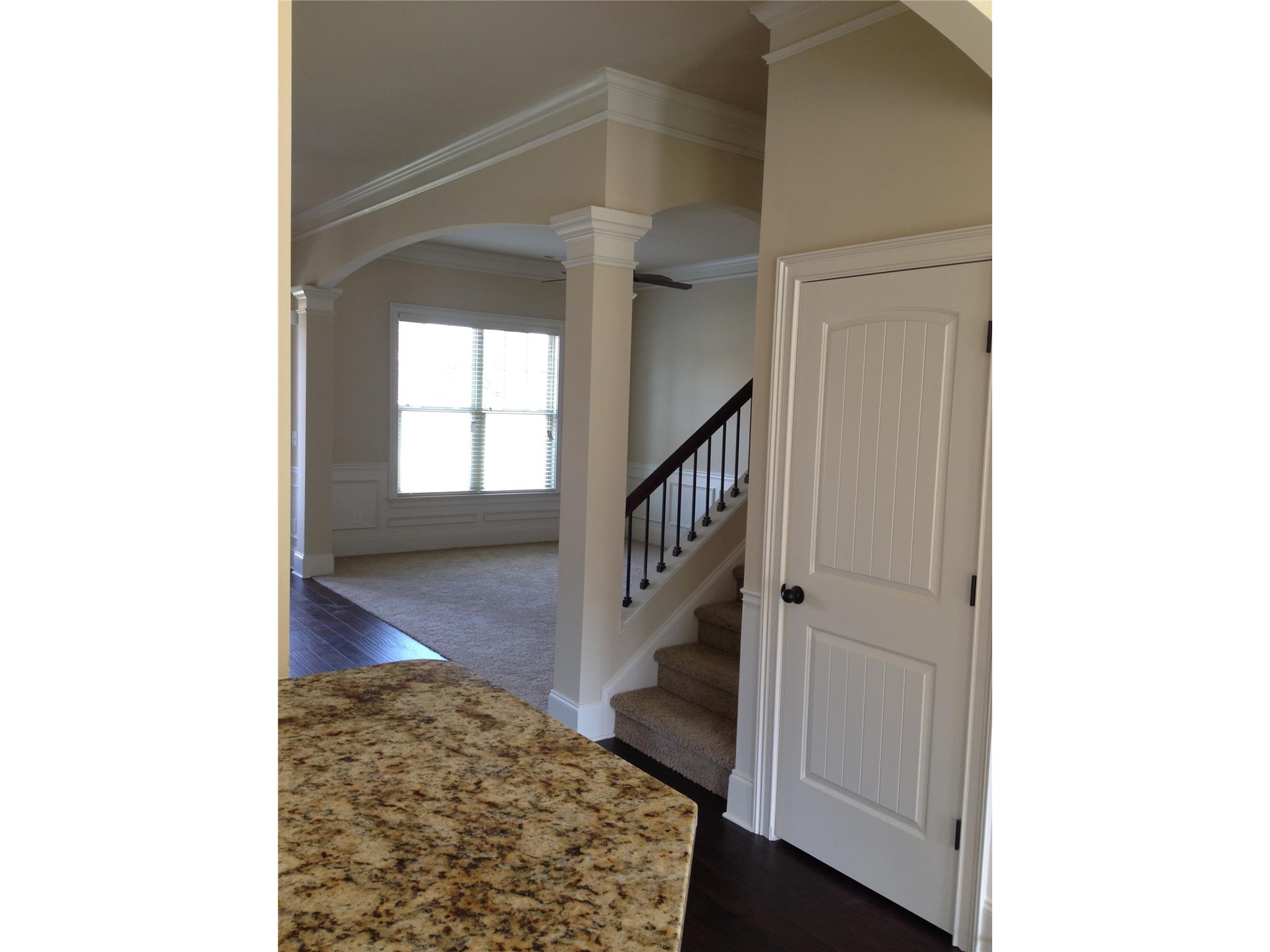178 Traditions Ln, Hampton, GA 30228 photo 22