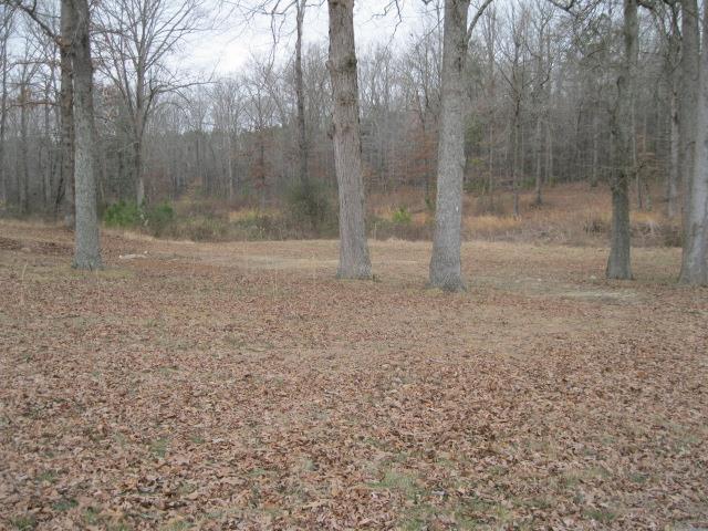 155 Hamrick Rd, Bremen, GA 30110 photo 10