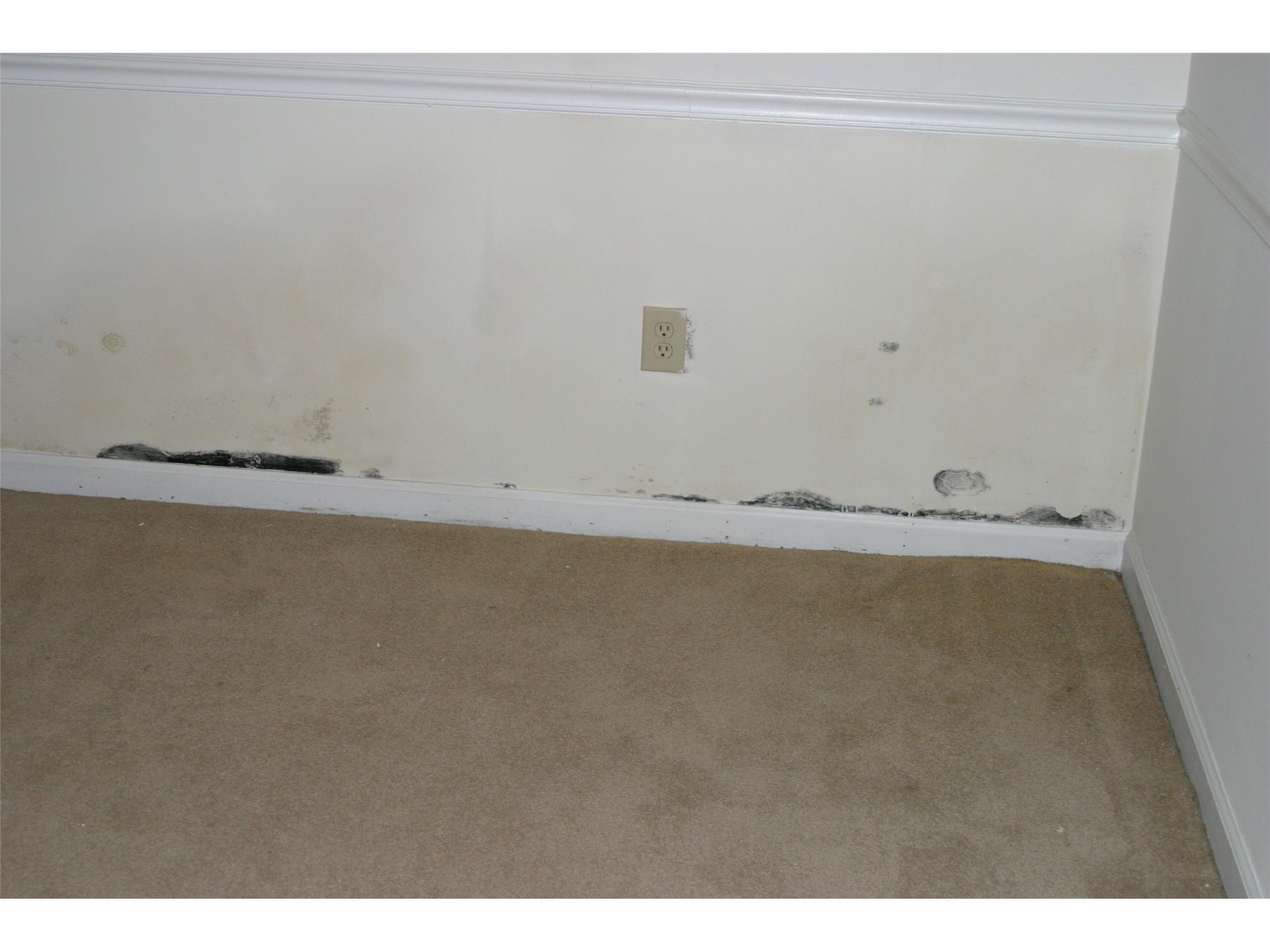 82 Cane Brake Cir, Toccoa, GA 30577 photo 17