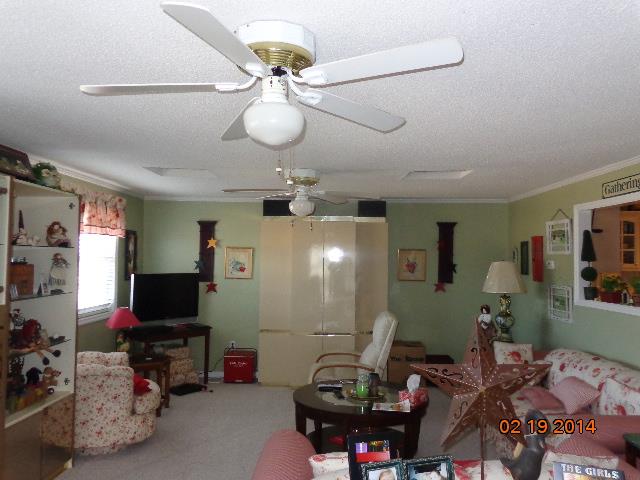 45 Jeni Wright Ln, Brooklet, GA 30415 photo 8