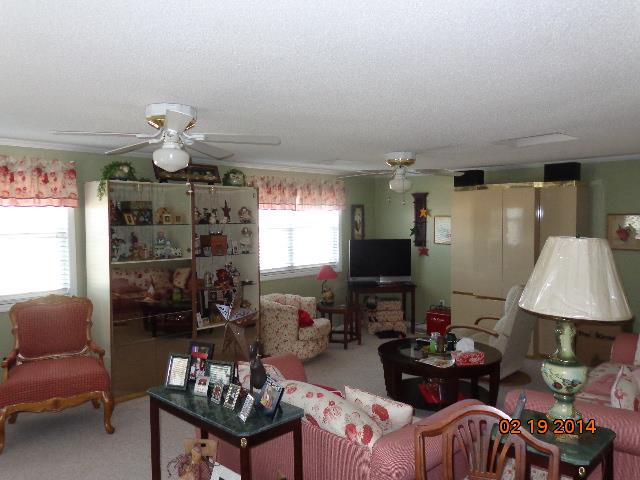 45 Jeni Wright Ln, Brooklet, GA 30415 photo 7