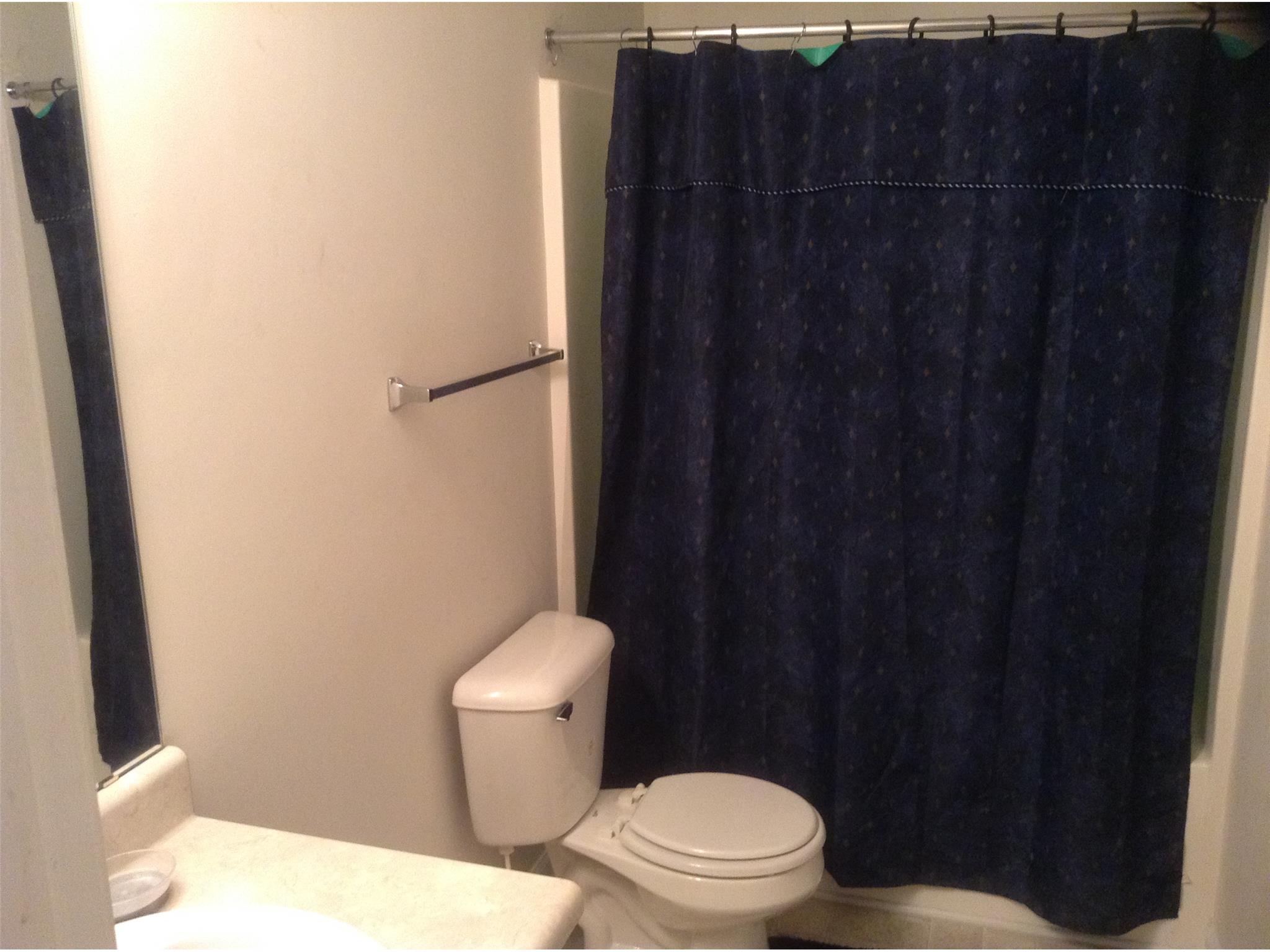 11117 Aliyah Dr, Hampton, GA 30228 photo 8