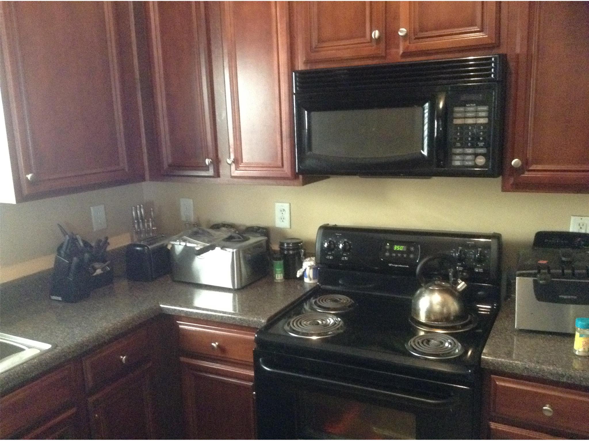 11117 Aliyah Dr, Hampton, GA 30228 photo 6