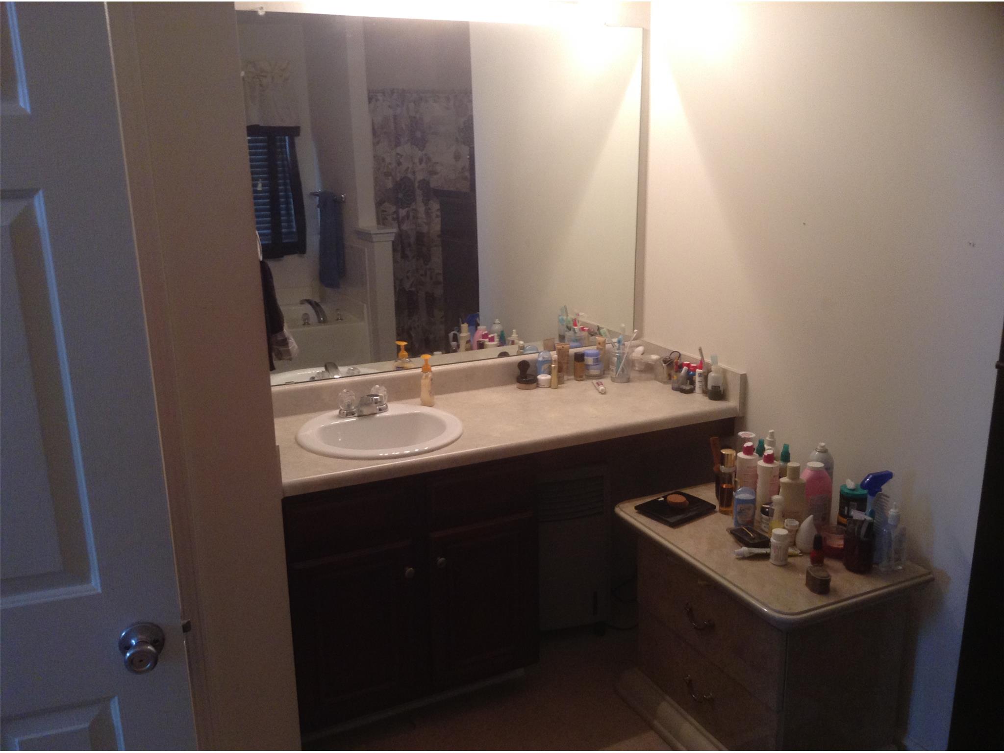 11117 Aliyah Dr, Hampton, GA 30228 photo 4