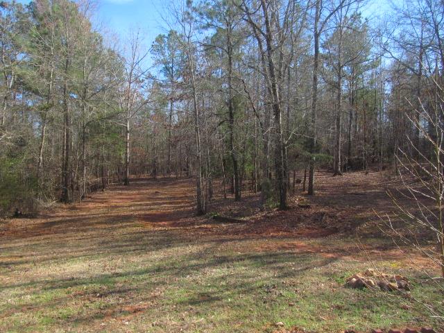 118 Waters Edge Dr, Lagrange, GA 30240 photo 14
