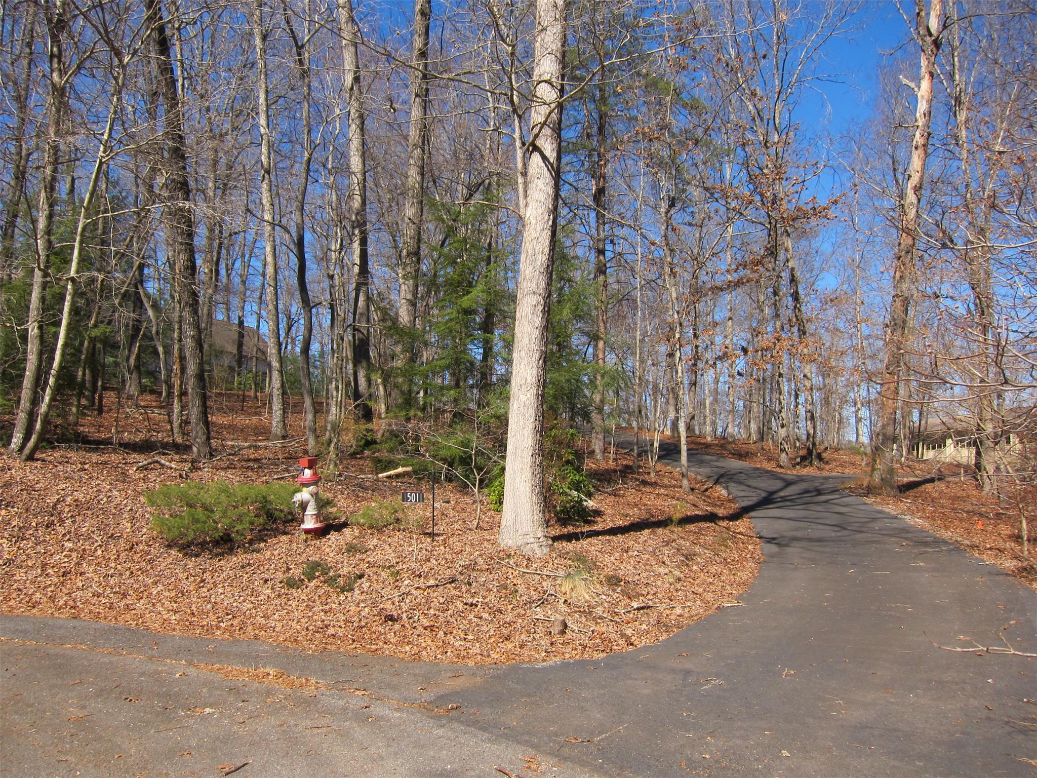 501 Jenny Ct, Cornelia, GA 30531 photo 23