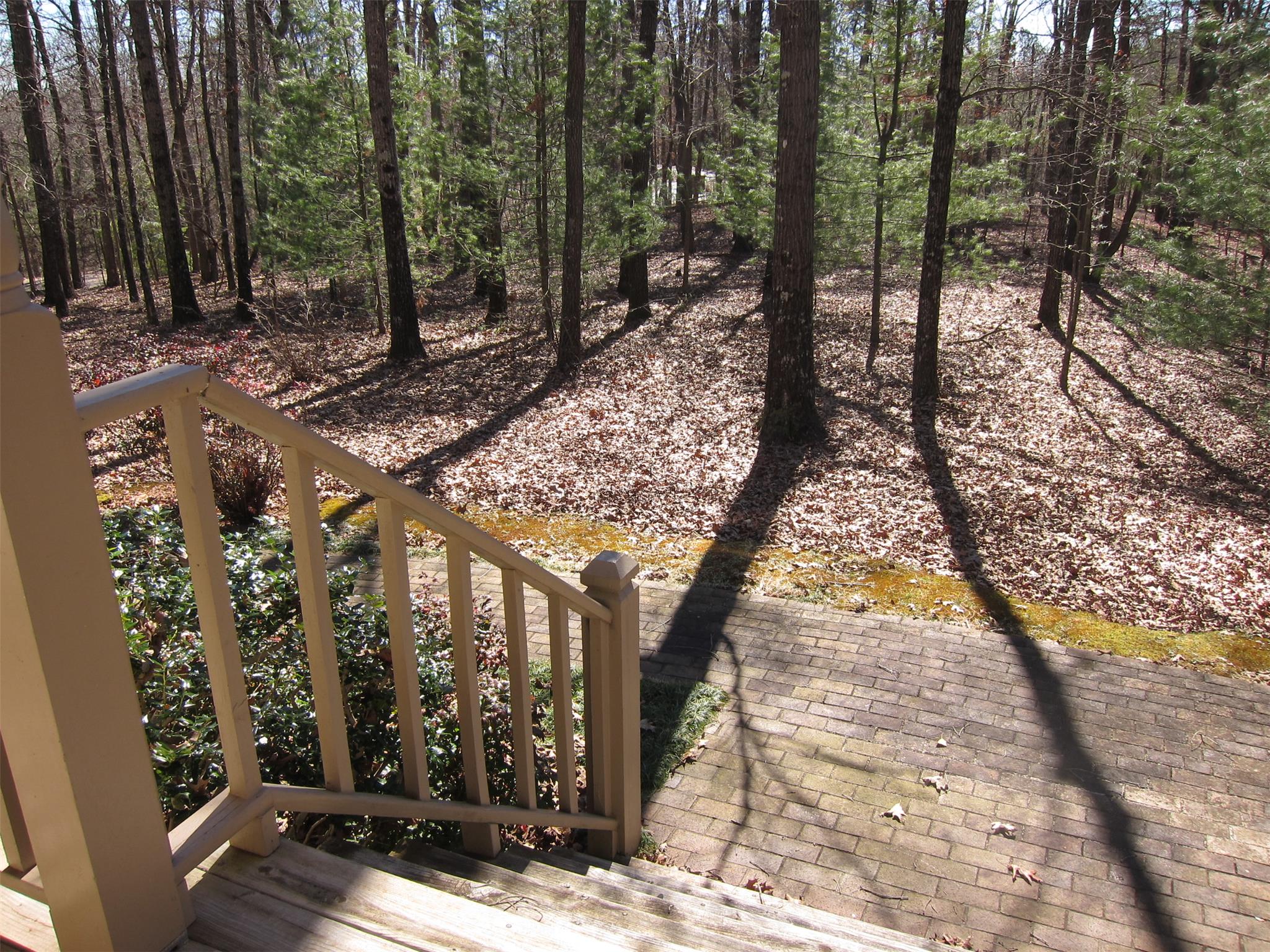 501 Jenny Ct, Cornelia, GA 30531 photo 25