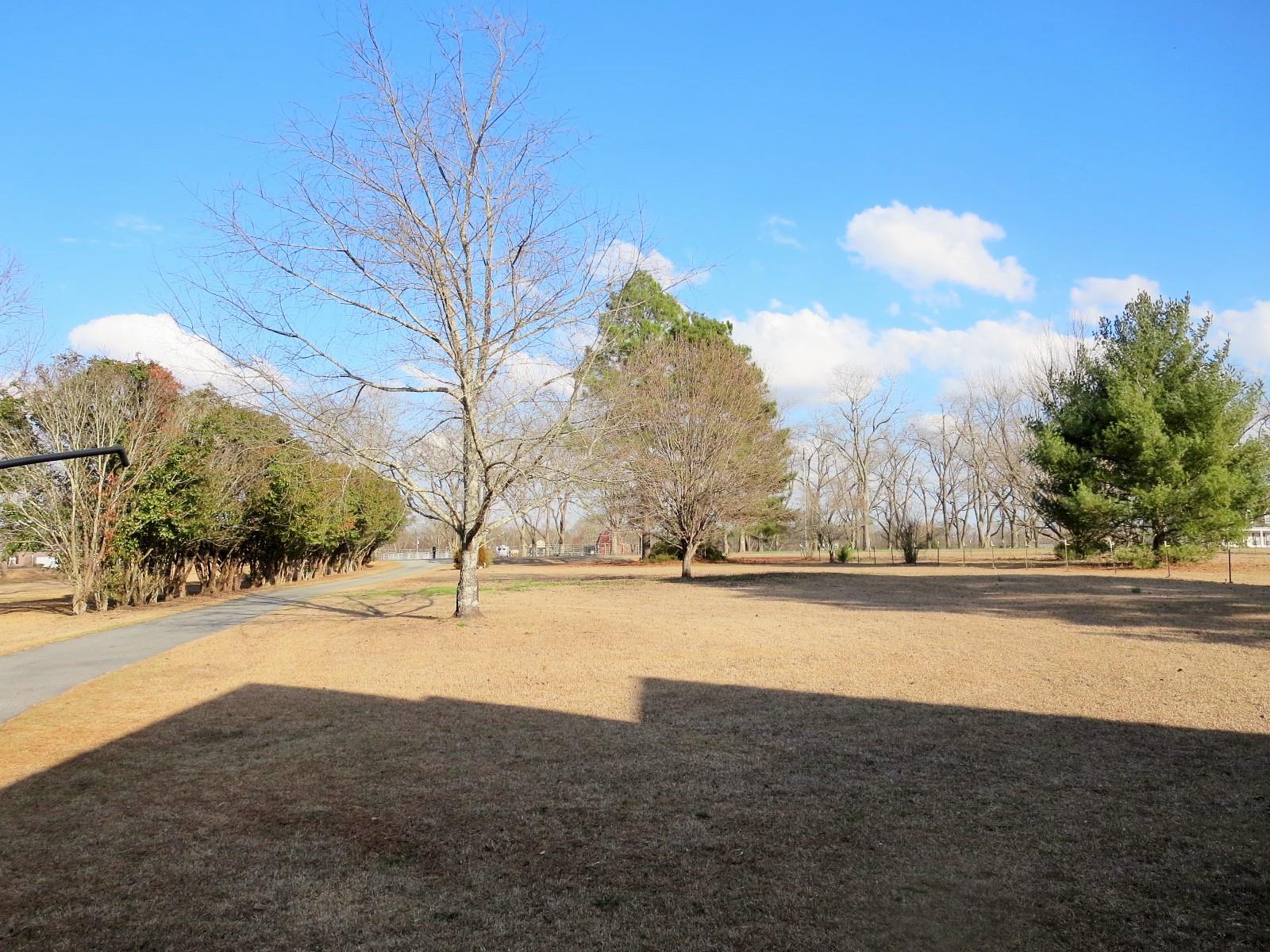 733 Jones Rd, Byron, GA 31008 photo 4