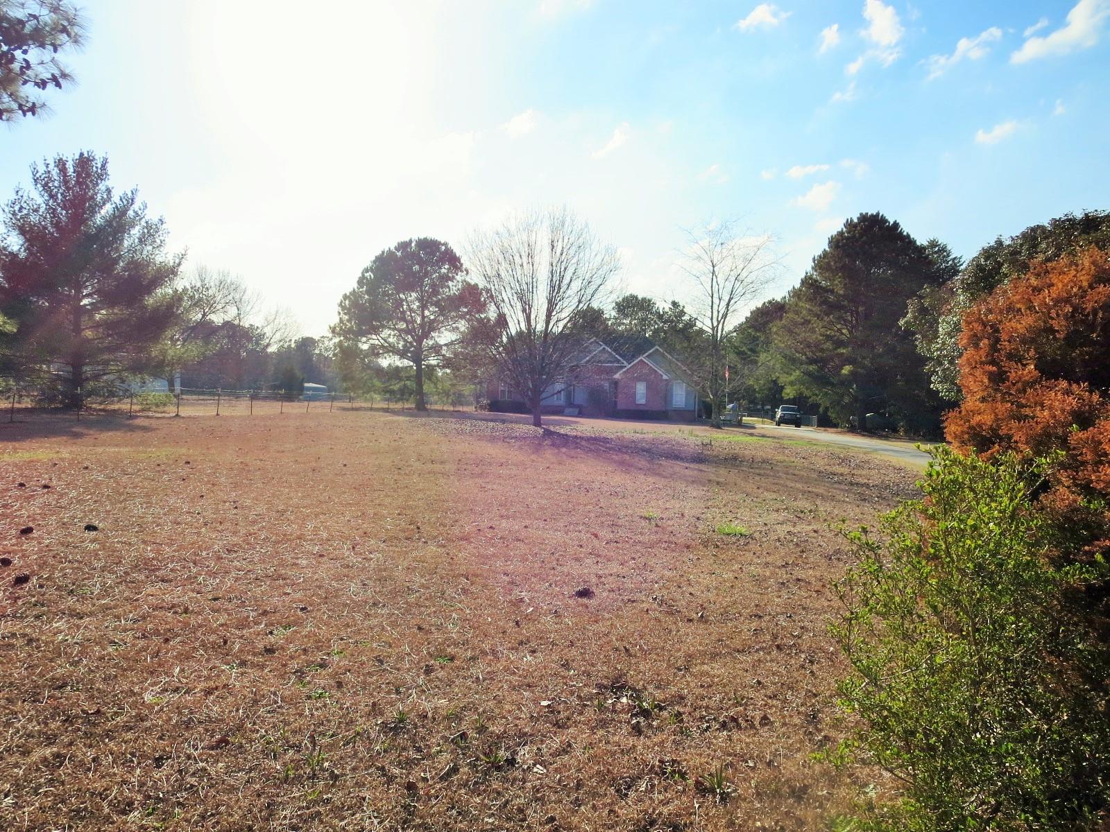 733 Jones Rd, Byron, GA 31008 photo 2