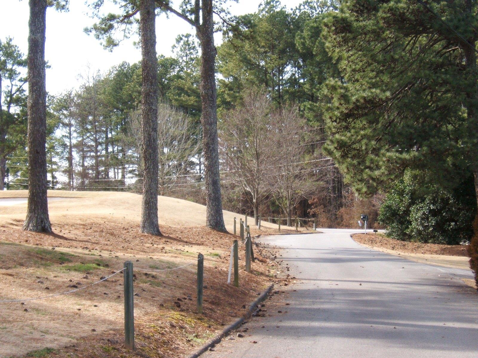 4653 Bogie Rd, Duluth, GA 30096 photo 4