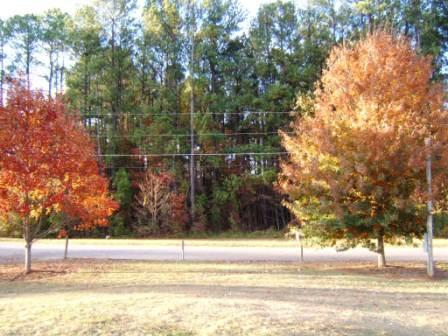 4653 Bogie Rd, Duluth, GA 30096 photo 20
