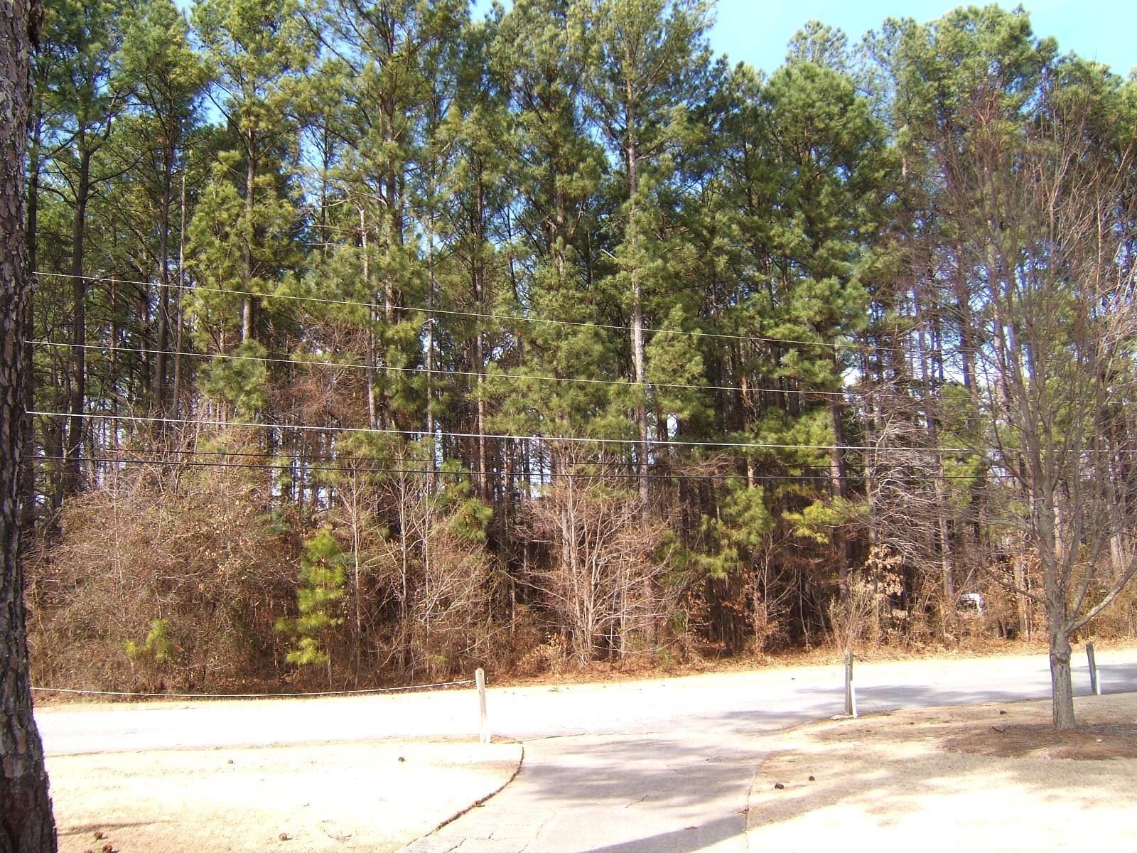 4653 Bogie Rd, Duluth, GA 30096 photo 5