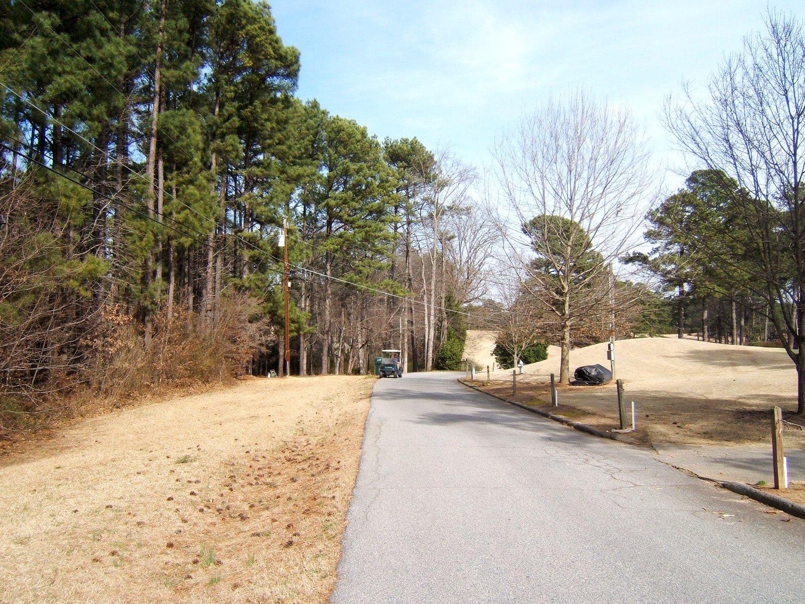 4653 Bogie Rd, Duluth, GA 30096 photo 6