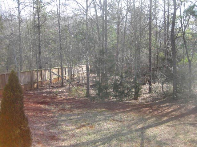 1418 Ellington Ct, Bethlehem, GA 30620 photo 4