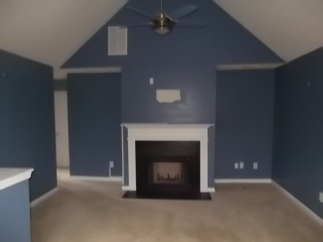 1801 Dalton Way, Hampton, GA 30228 photo 9