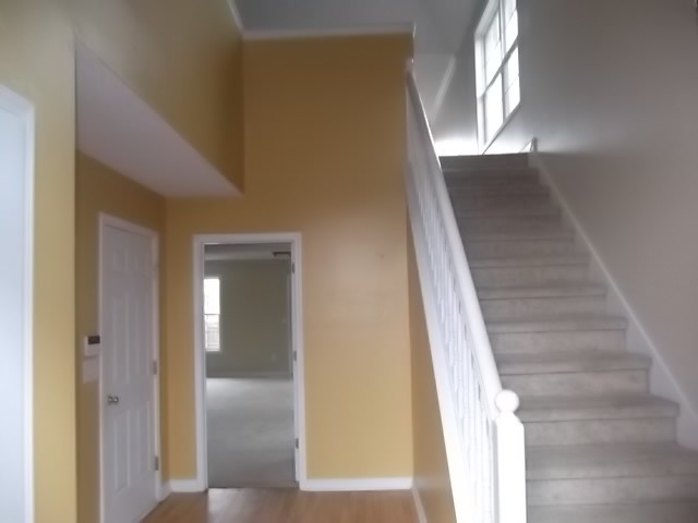 1801 Dalton Way, Hampton, GA 30228 photo 3