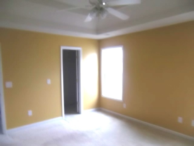 1801 Dalton Way, Hampton, GA 30228 photo 11
