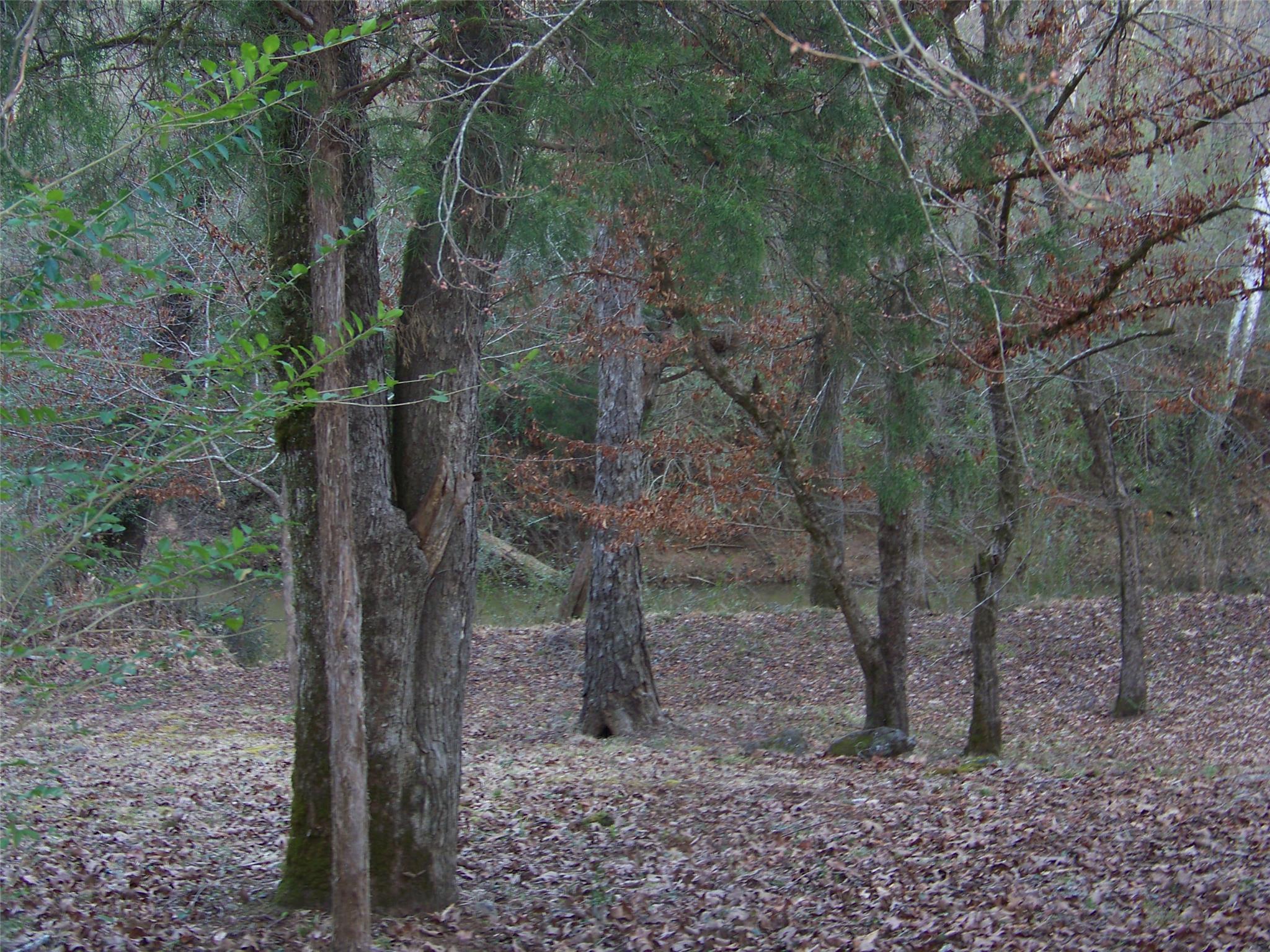 5587 Hamilton Rd, Lagrange, GA 30240 photo 13