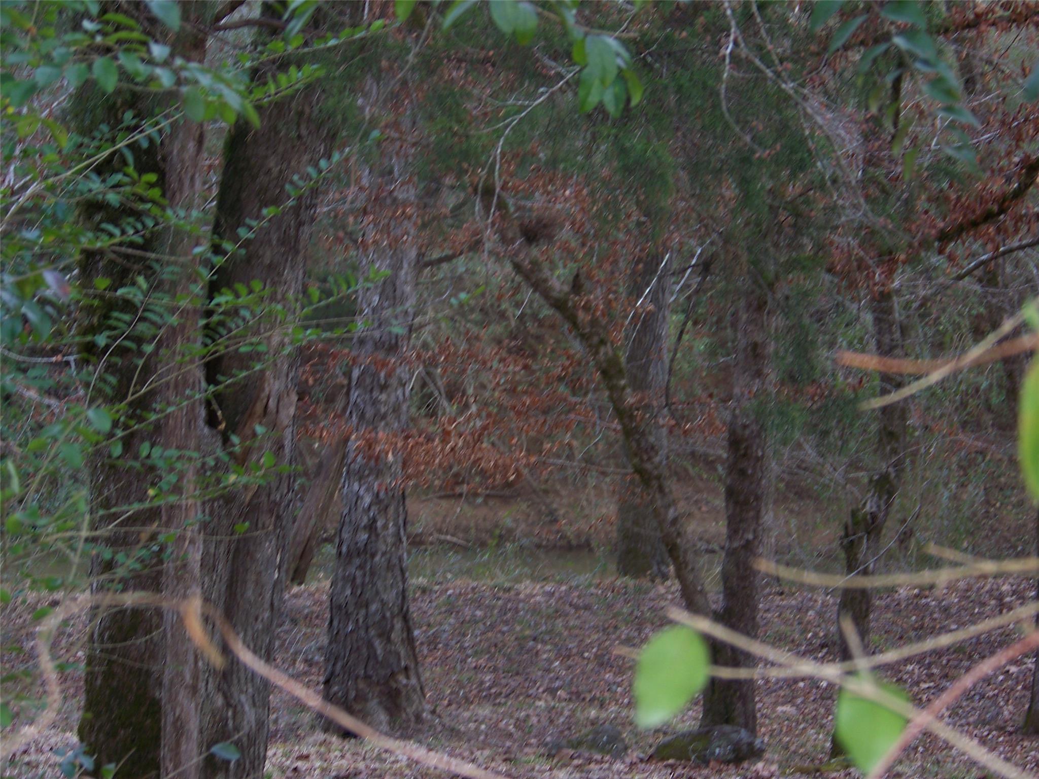5587 Hamilton Rd, Lagrange, GA 30240 photo 12