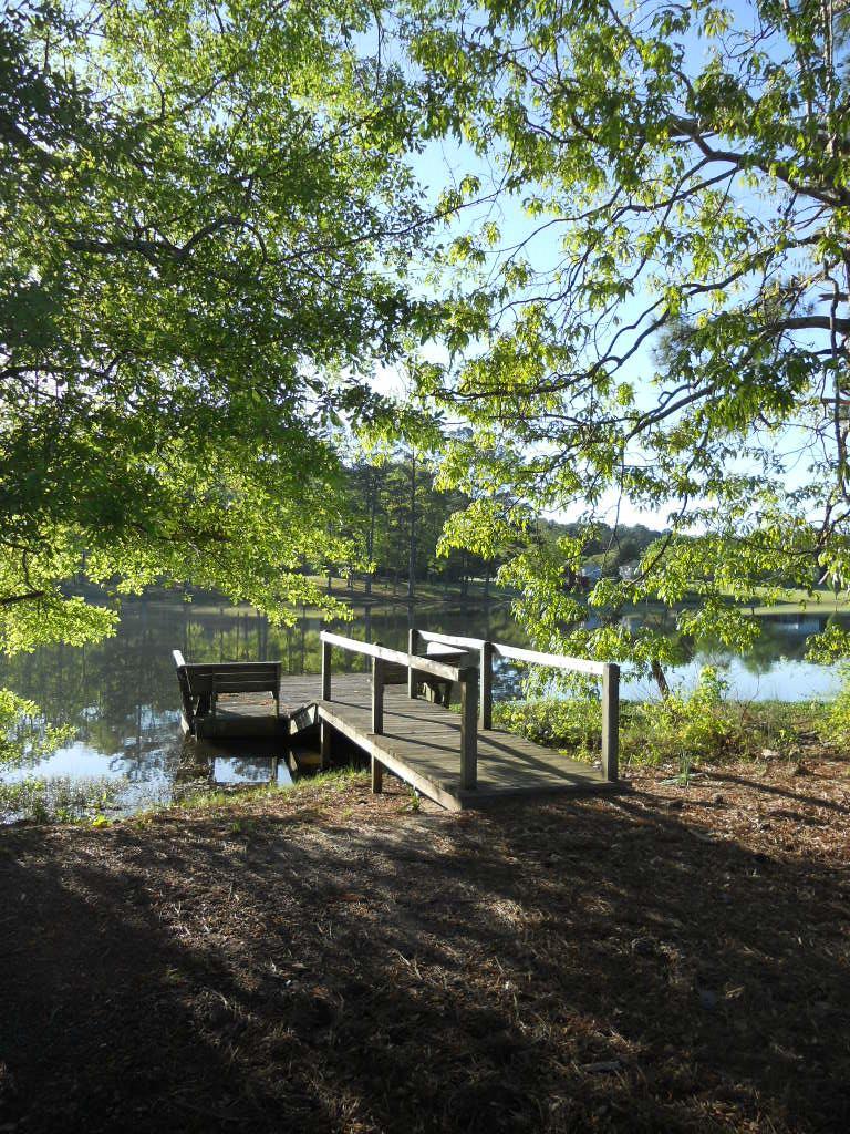 80 Lake Dr, Covington, GA 30014 photo 23