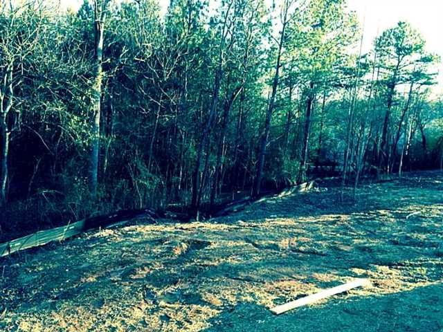 195 Patrick Cir, Suwanee, GA 30024 photo 7