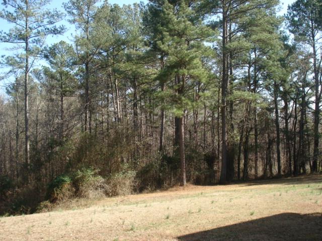 765 Clarke Trl, Dacula, GA 30019 photo 20