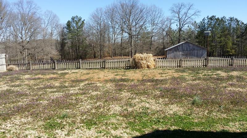 359 Mcgarity Rd, Temple, GA 30179 photo 22